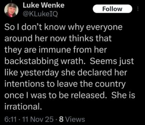 luke wenke x twitter screenshot katie obsession 2025